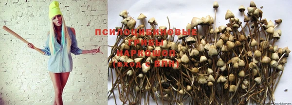прущая мука Костерёво
