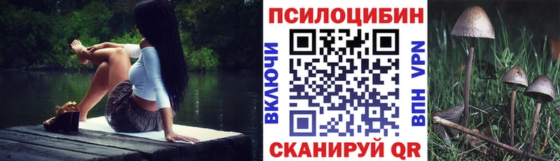 сколько стоит  Боготол  Галлюциногенные грибы Magic Shrooms 